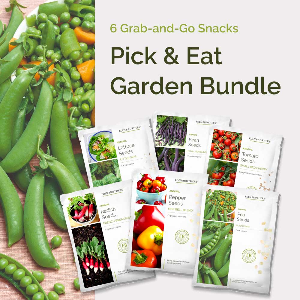 Graphic of pick and eat garden bundle pack displaying a product image and contents of the bundle.