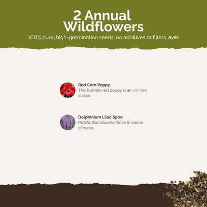 List of flower species and seeds included in the Wildflower Seed Mix.
