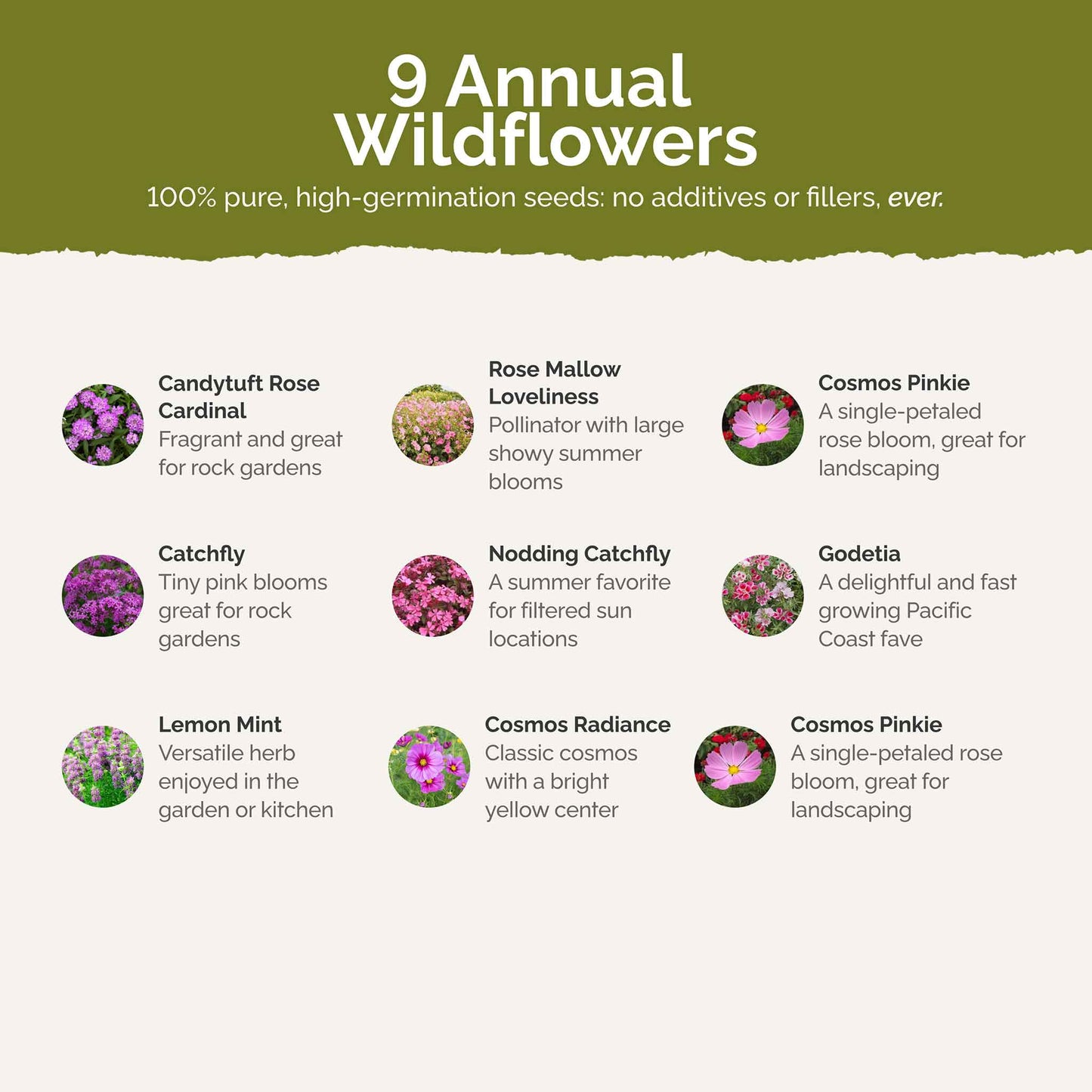 List of flower species and seeds included in the Wildflower Seed Mix.