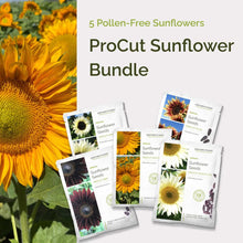 Graphic of procut sunflower bundle pack displaying a product image and contents of the bundle.
