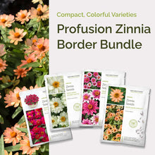 Graphic of profusion zinnia border bundle pack displaying a product image and contents of the bundle.