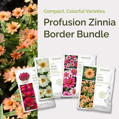 Graphic of profusion zinnia border bundle pack displaying a product image and contents of the bundle.