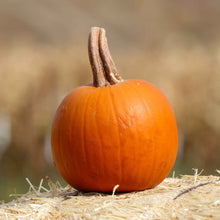 A Spookie, round, orange pumpkin with deep ridges and a short, on a blurred background.