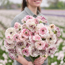 A person holding a bouquet of the ranunculus brushmark cesar and galthie bundle in a natural setting