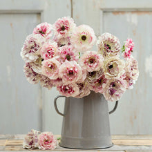 A bouquet of the ranunculus brushmark cesar and galthie bundle on a wooden table