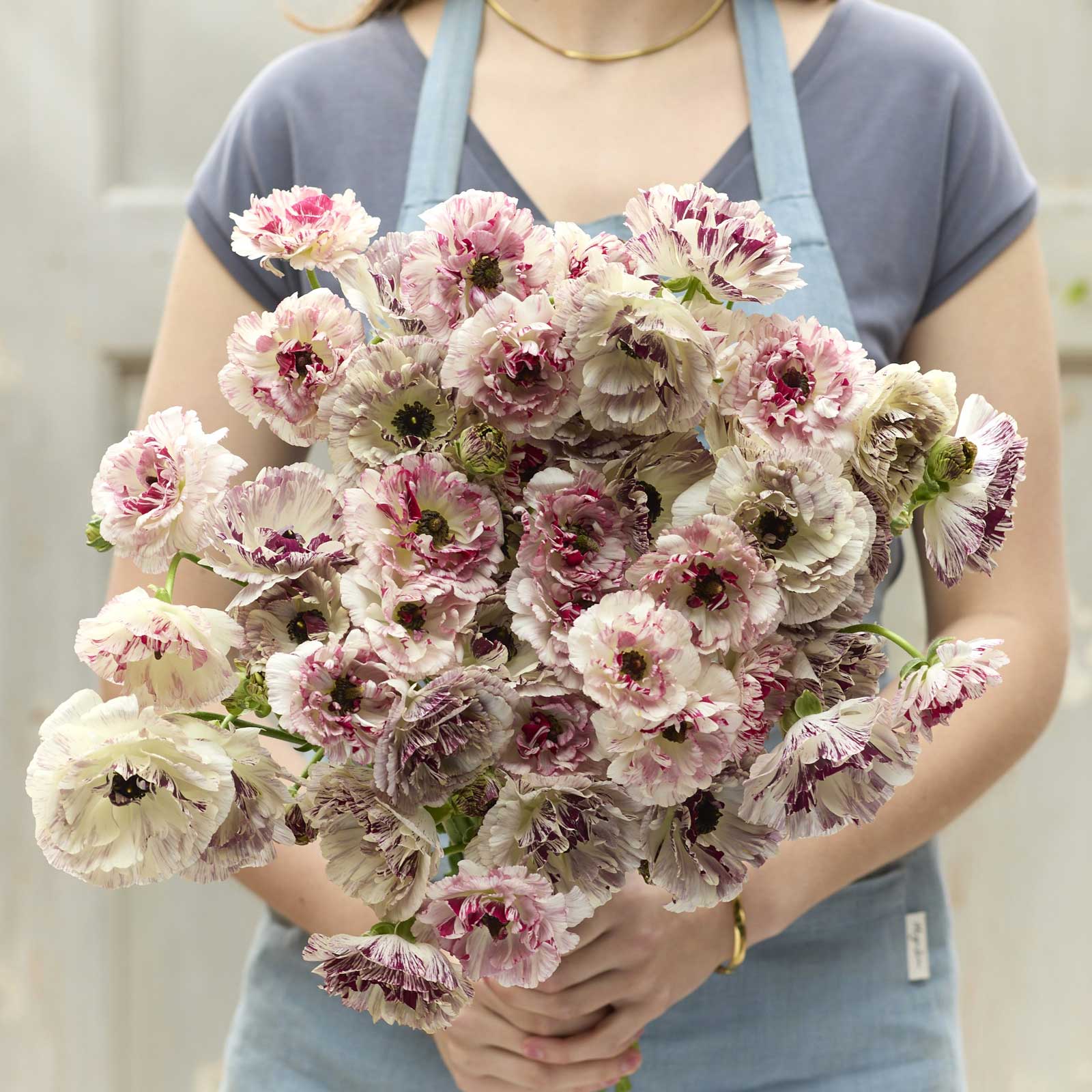 A person holding a bouquet of the ranunculus brushmark cesar and galthie bundle in a natural setting