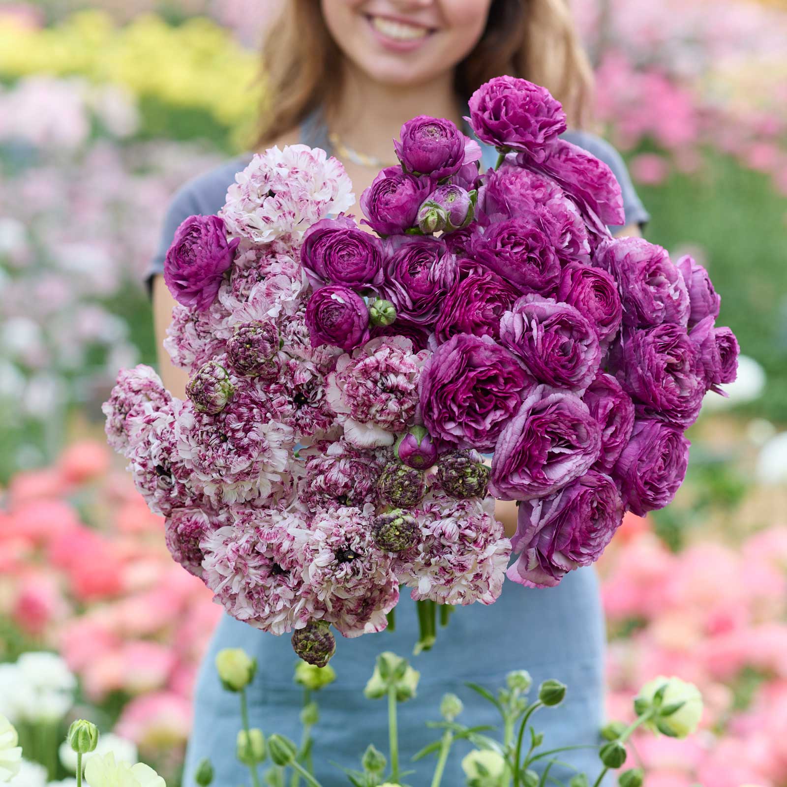 Person holding a large bouquet of purple and white flowers from the ranunculus bundle with seti and loubereyes in a garden setting