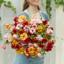 Vibrant ranunculus bright mix bouquet held by a person on a light blue backdrop