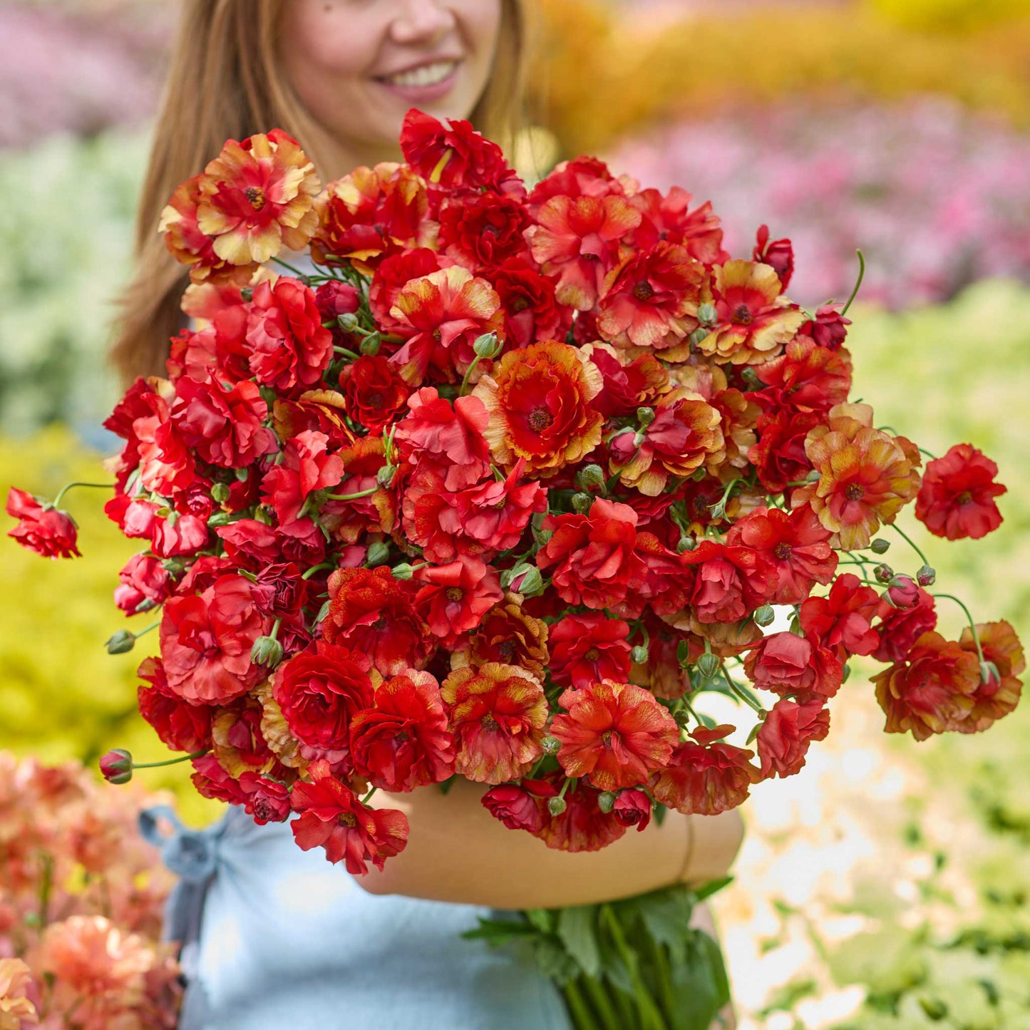 Person holding a large bouquet of red and orange hades ranunculus flowers in a garden setting