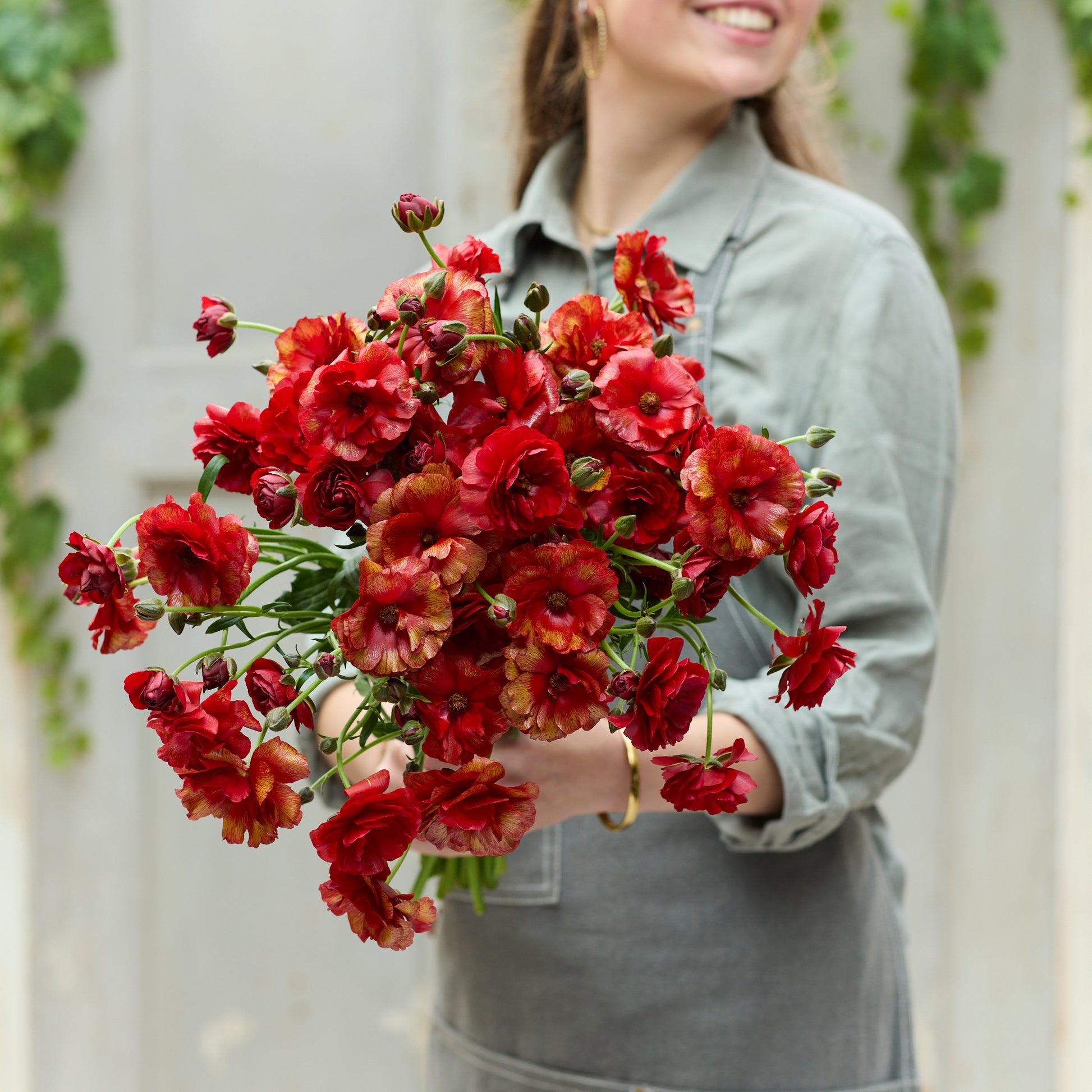 Vibrant red ranunculus hades bouquet held by a person on a soft gray backdrop