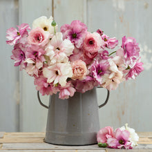 Pink and white ranunculus pink pastel mix in a gray vase on a neutral backdrop