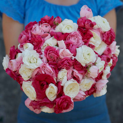 Pink and white ranunculus homecoming bouquet held by a person outdoors
