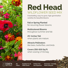 A visual overview of the wildflower seed mix, showcasing expected floral blooms.
