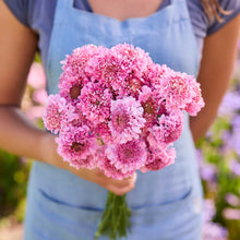 Person holding a bouquet of pink flowers from the scabiosa bundle king and queen in a natural setting