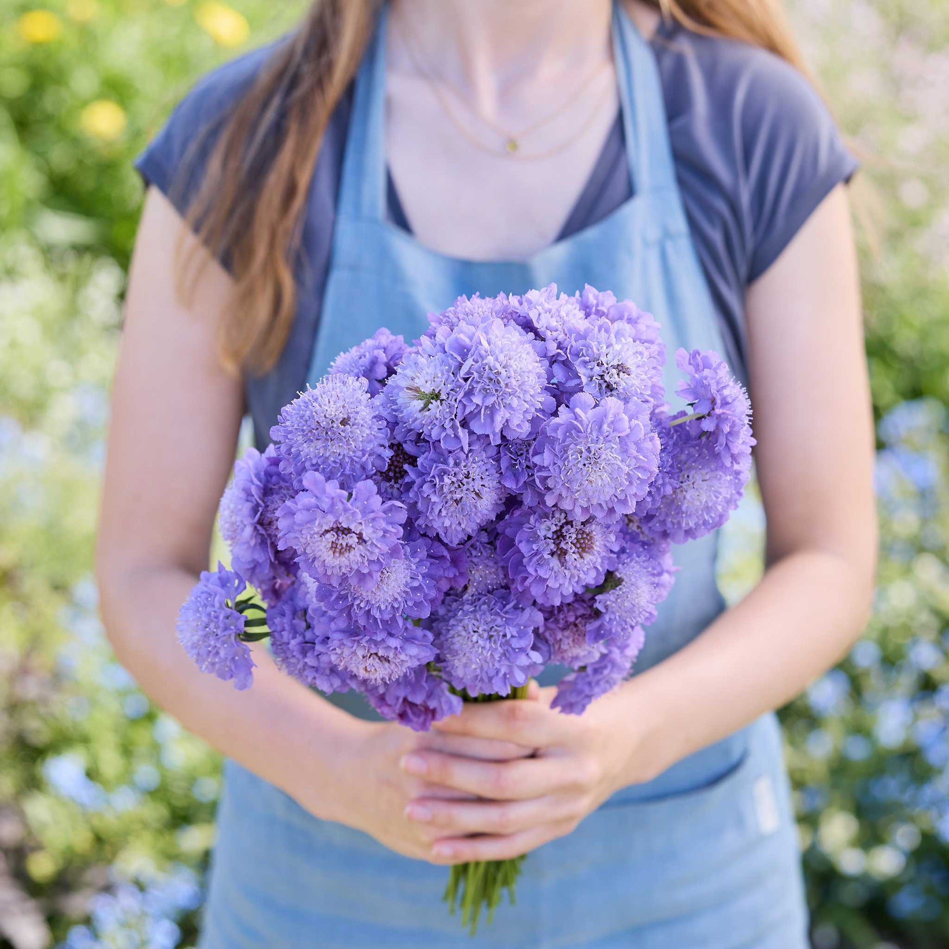 Person holding a bouquet of bluish purple flowers from the scabiosa signature bundle in a natural setting