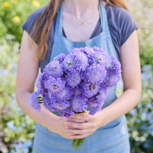 Person holding a bouquet of bluish purple flowers from the scabiosa signature bundle in a natural setting