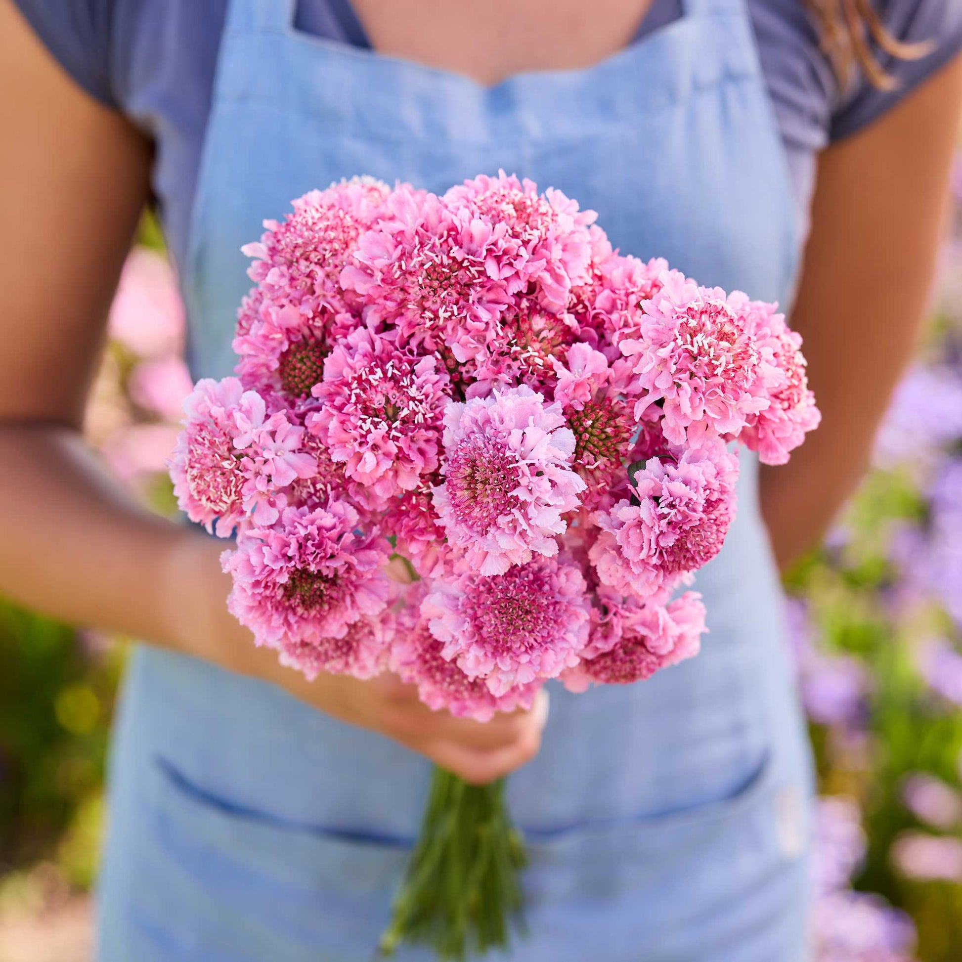Person holding a bouquet of pink flowers from the scabiosa signature bundle in a natural setting