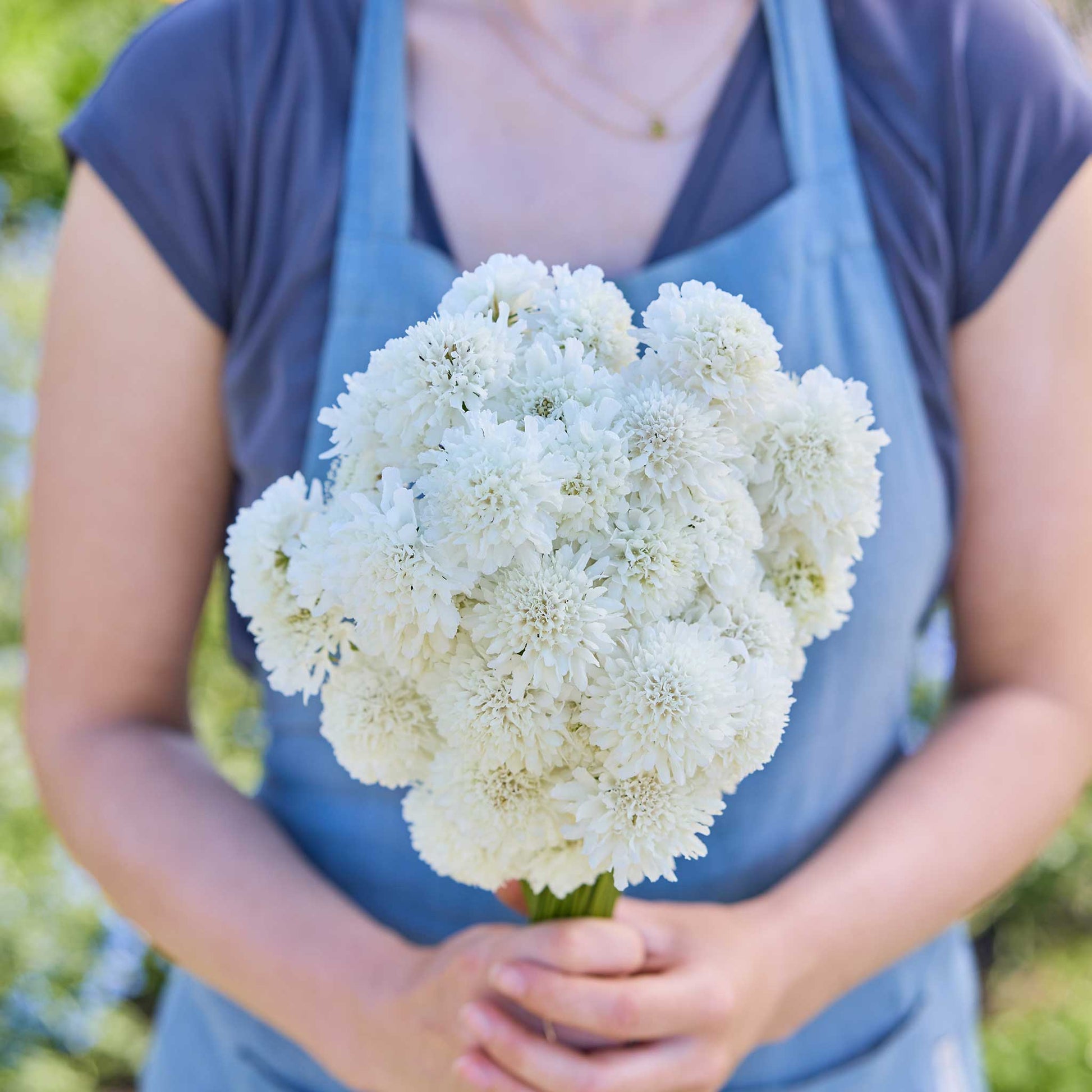 Person holding a bouquet of white flowers from the scabiosa signature bundle in a natural setting
