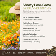 A visual overview of the wildflower seed mix, showcasing expected floral blooms.