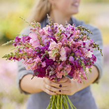 A person holding a bouquet of snapdragon coolsnap pink mix flowers in a garden setting.