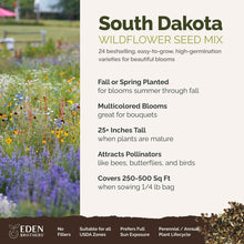 A visual overview of the wildflower seed mix, showcasing expected floral blooms.