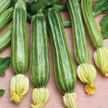 Romanesco squash with light green stripes and budding flowers.