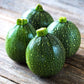 Round Zucchini squash on wooden table showing round form and pale green stripes