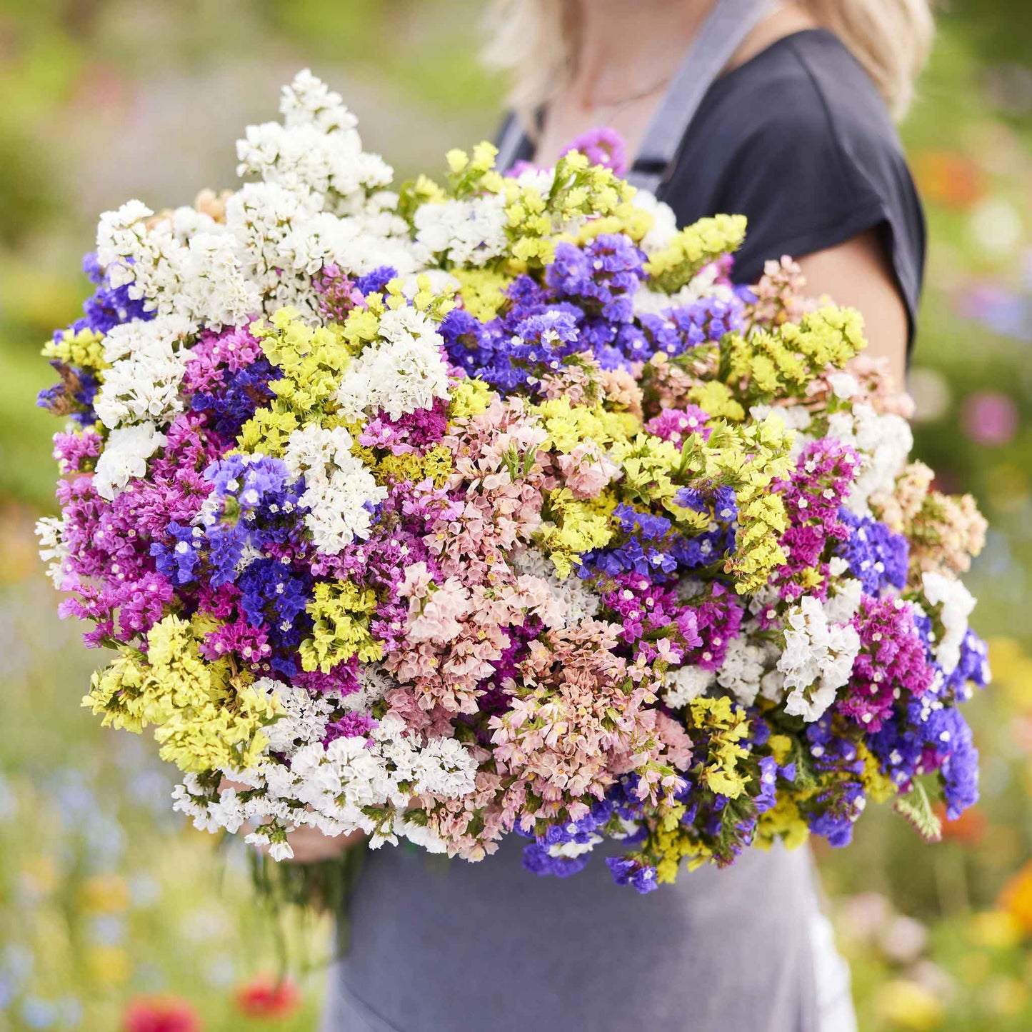 Colorful statice pacific mix bouquet of purple, pink and white held against a light background