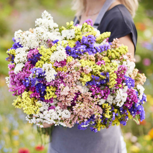 Colorful statice pacific mix bouquet of purple, pink and white held against a light background
