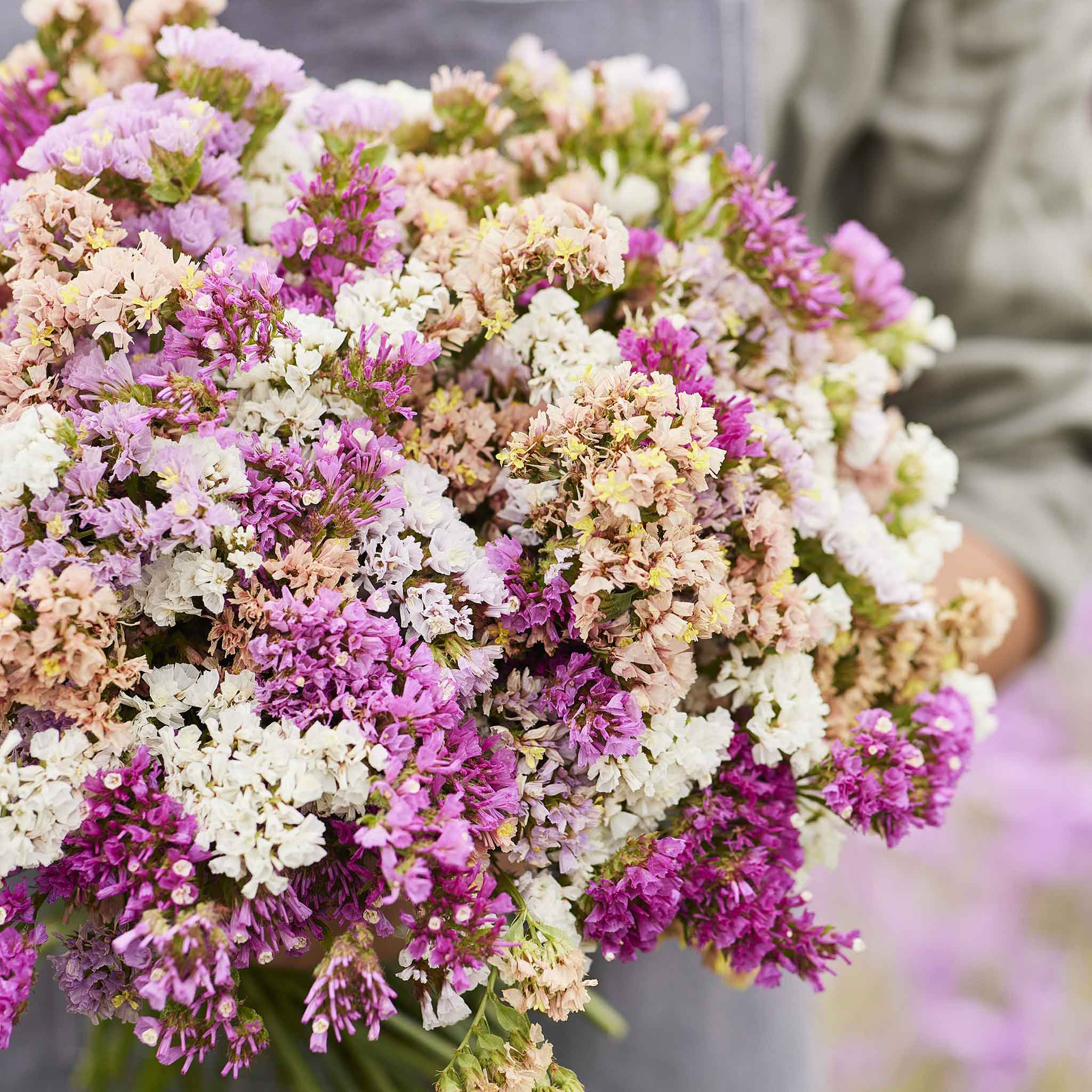 Statice pastel mix purple, pink and yellow bouquet held by person with blurred background