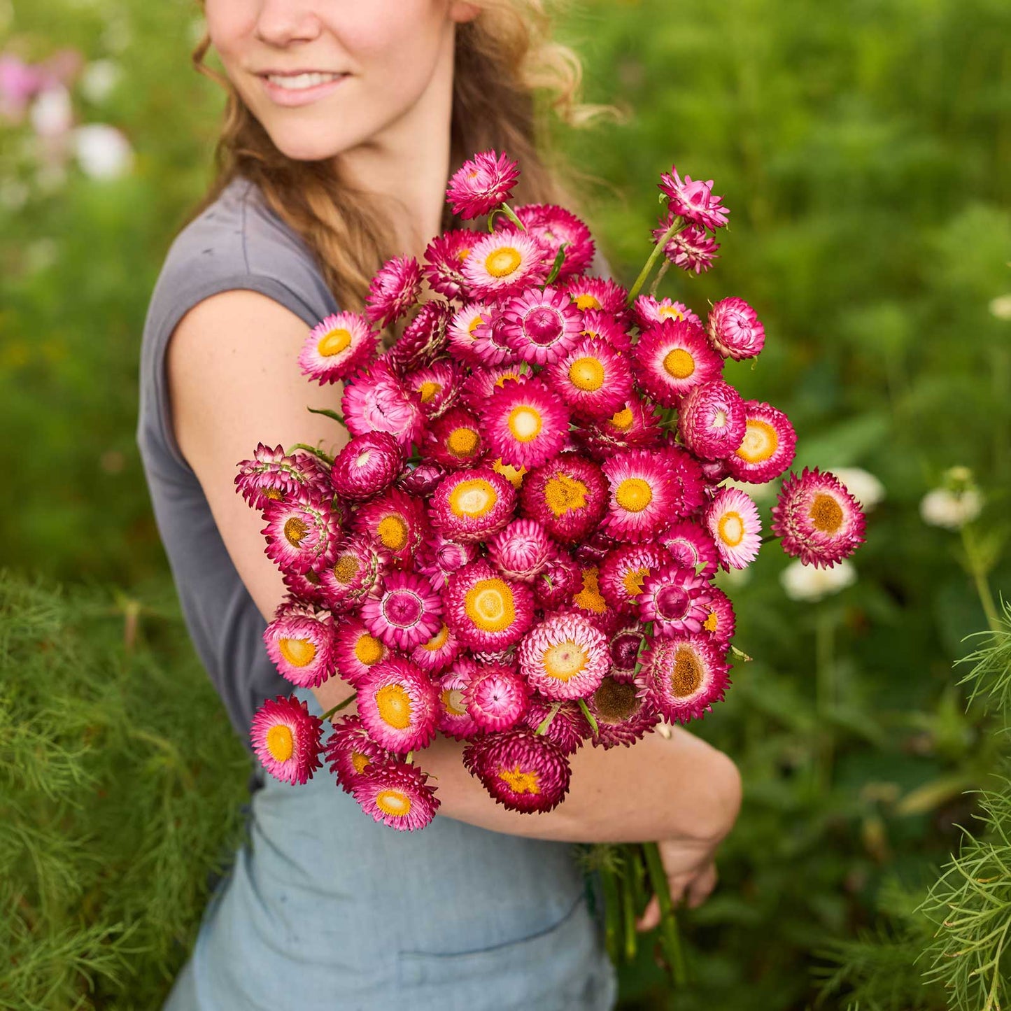 Person holding a bouquet of redish purple flowers from the strawflower autumn shades bundle in a natural setting