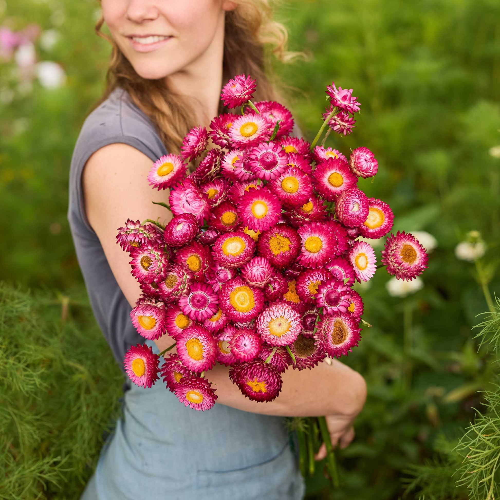 Person holding a bouquet of colorful flowers from the strawflower passion shades bundle in a natural setting