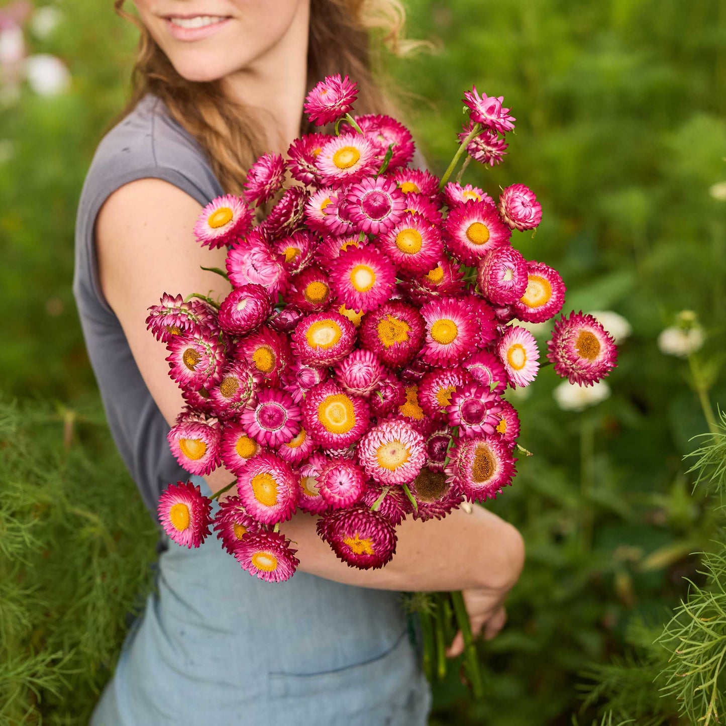 Person holding a bouquet of pink strawflower flowers in a garden setting