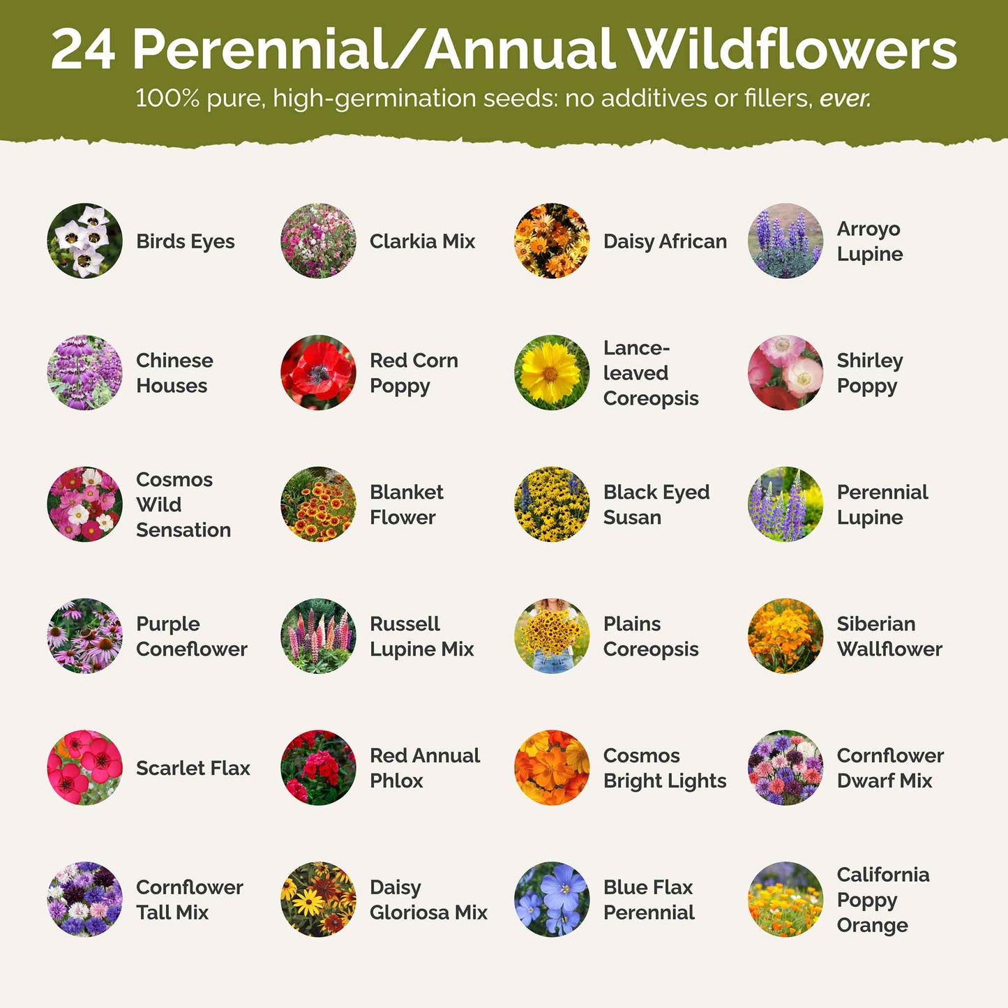 List of flower species and seeds included in the Wildflower Seed Mix.