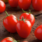 A close-up shot of several red Principe Borghese tomatoes, showcasing their unique shape. | copyright: Floramedia UK Ltd