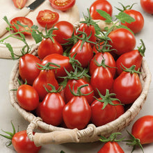 A bowl of Red Pear tomatoes.