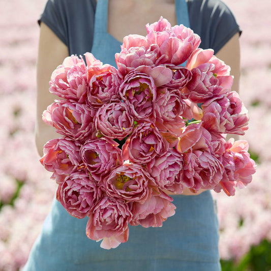 Person holding a bouquet of beachberry tulip flowers in a natural setting