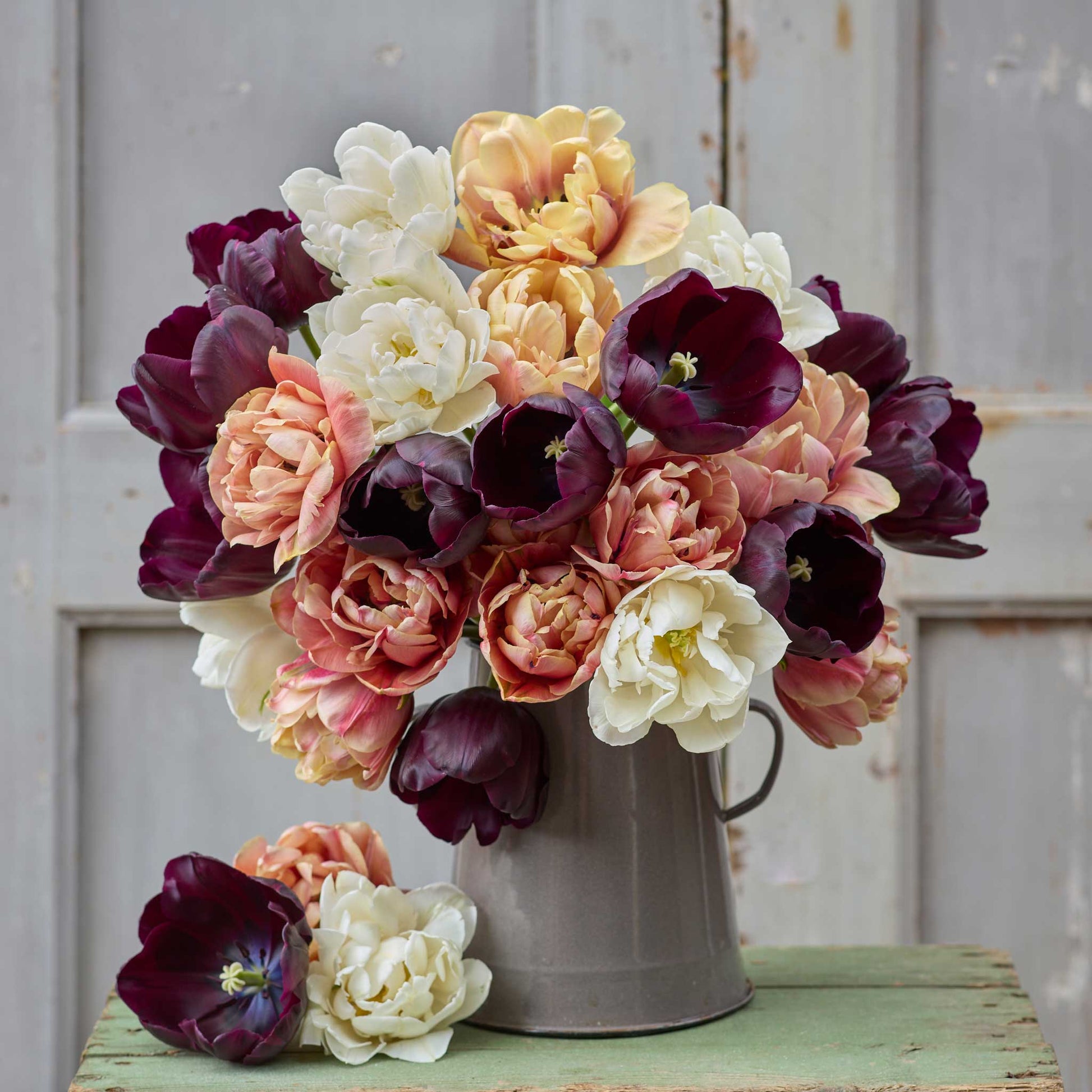 Bouquet of peach, purple, and white antique noir tulip bundle in a metal vase.