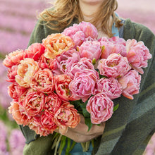 A person holding a pink and orange bouquet from the beachberry and copper image tulip bundle