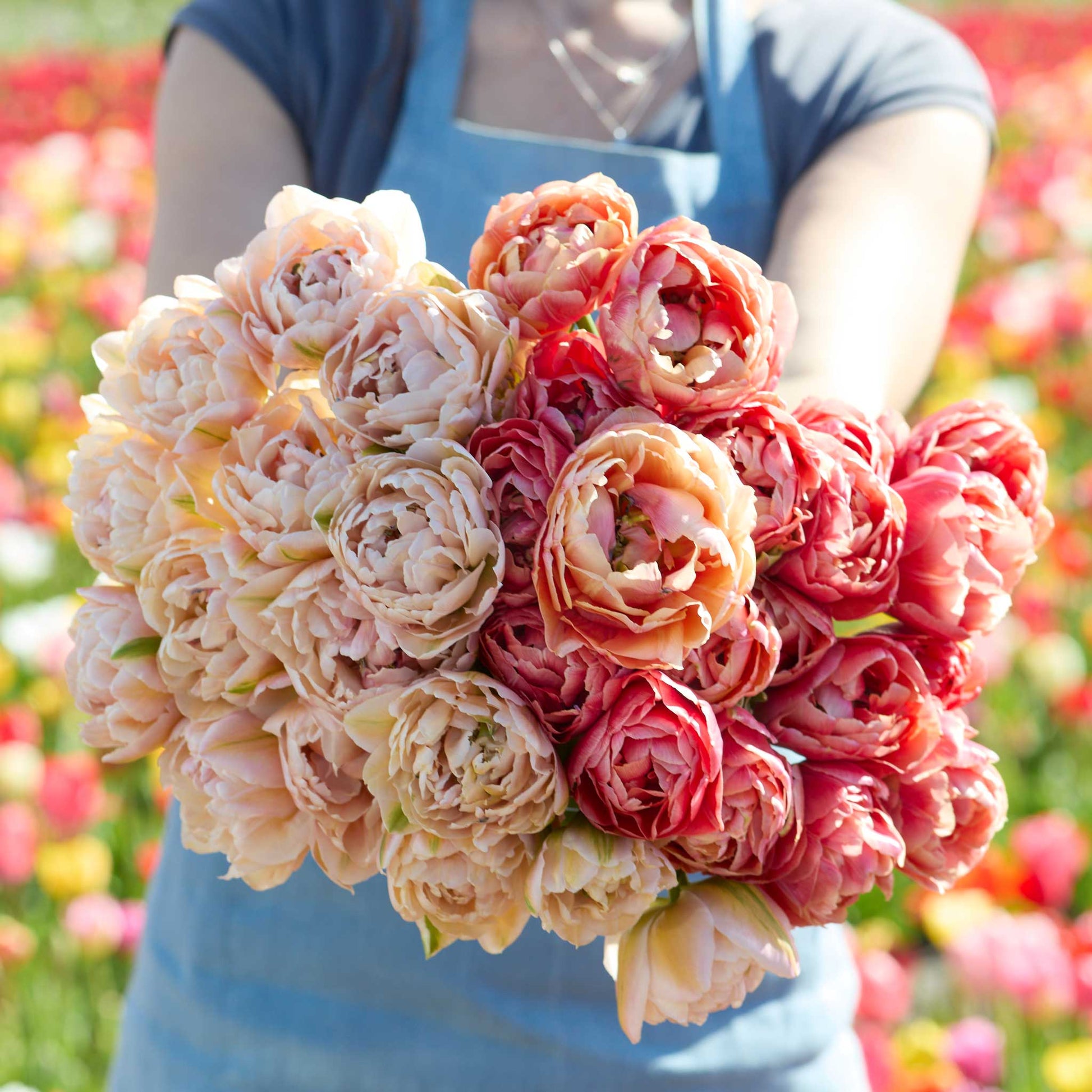 Bouquet of pink and red flowers from the copper image and pink mist tulip bundle held by a person in a field with blurred flowers in the background