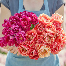 A person holding a pink and orange bouquet from the royal acres and copper image tulip bundle