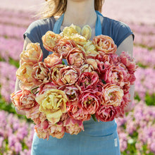 A person holding a pink and yellow bouquet from the la belle epoque and copper image tulip bundle
