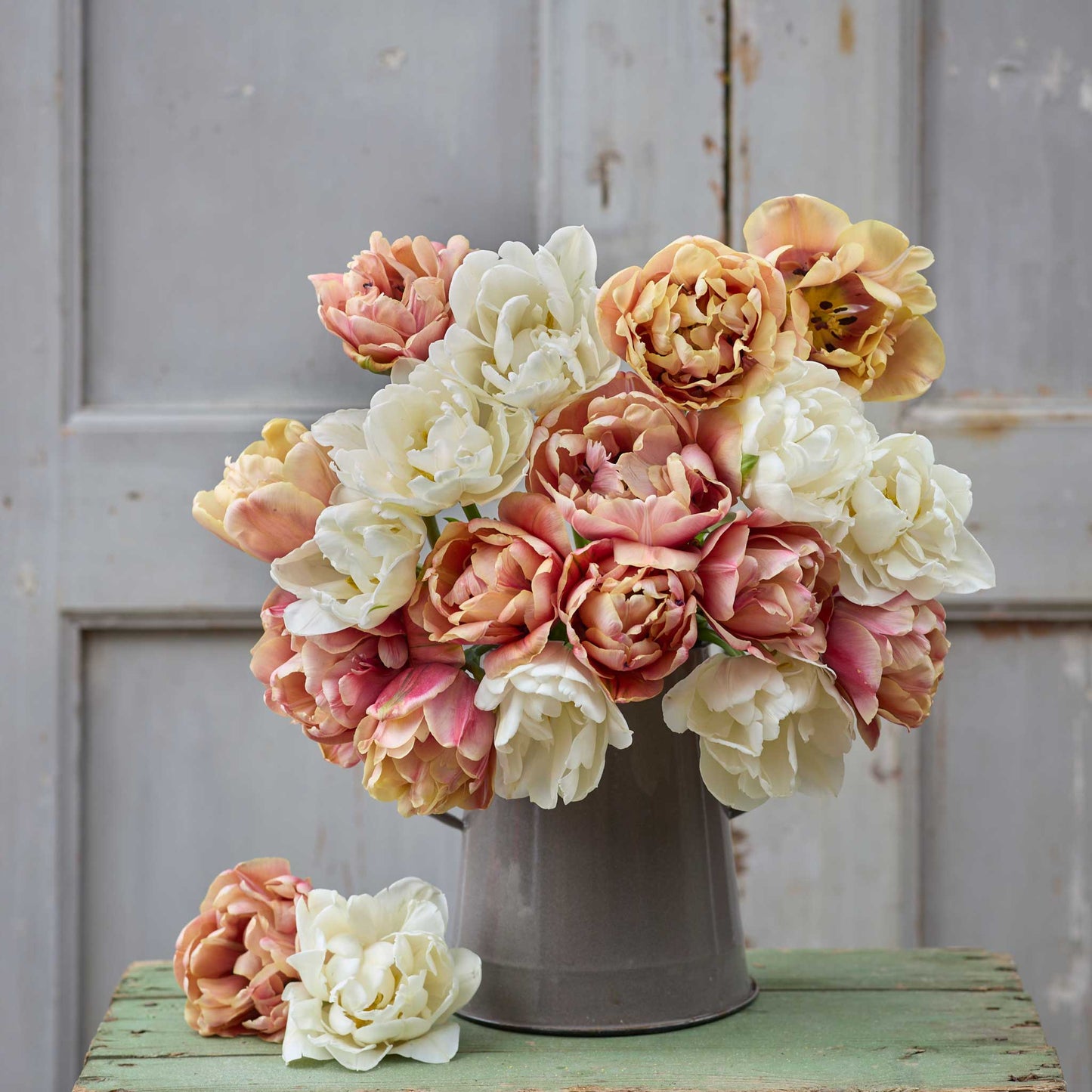 A person holding a pink and yellow bouquet from the la belle epoque and mount tacoma tulip bundle