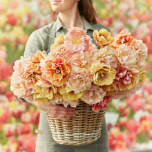 Person holding a basket of pink and yellow tulips from the double rose in a blurred floral field