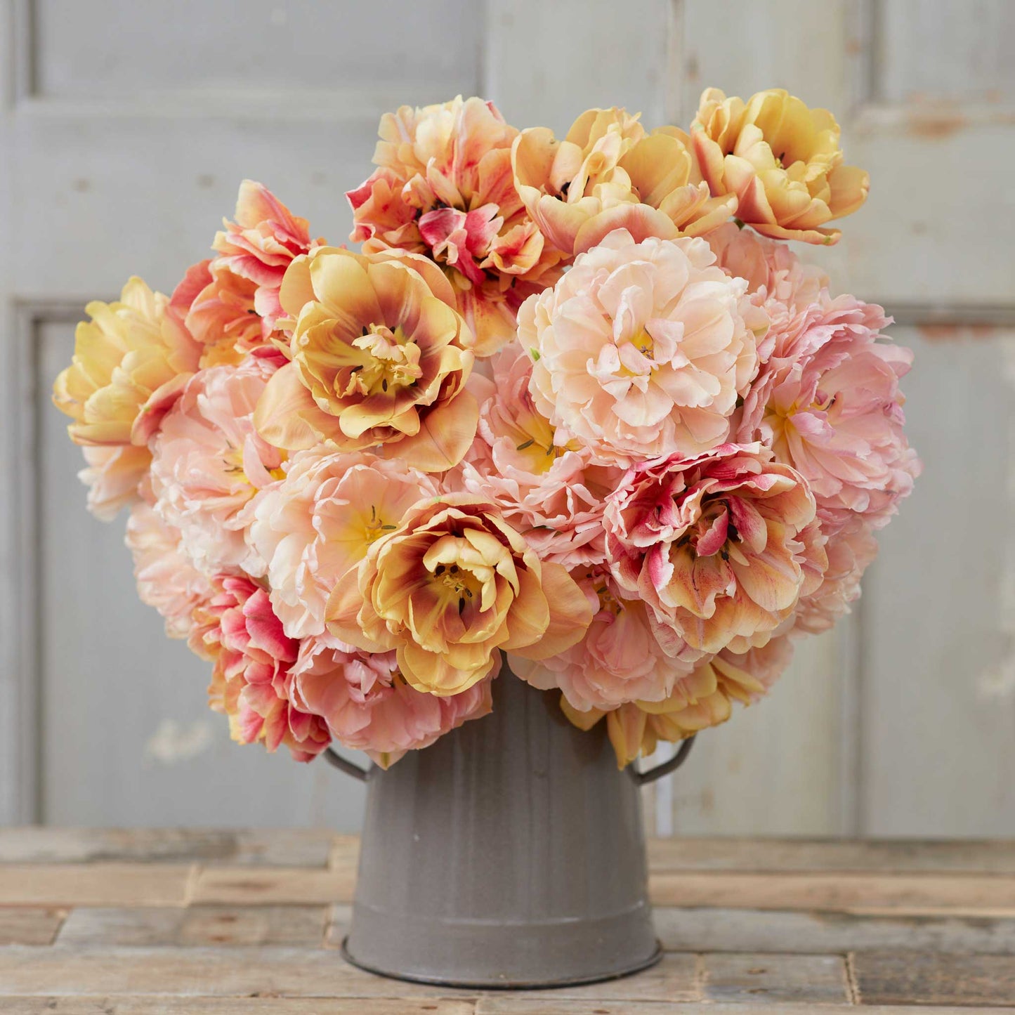 Bouquet of pink and yellow tulips from the double rose bundle in a gray vase on a wooden surface with a light gray background.