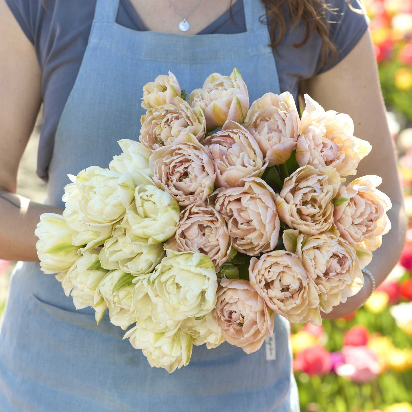 A person holding a pink and yellow bouquet from the pink mist and mount tacoma tulip bundle