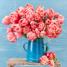Bouquet of pink etched salmon tulips in a blue vase on a wooden surface with a blue background