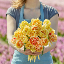 Person holding a bouquet of yellow and orange foxy foxtrot tulips with a blurred floral background