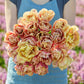 Person holding a bouquet of pink and yellow la belle epoque tulip flowers against a blurred natural background