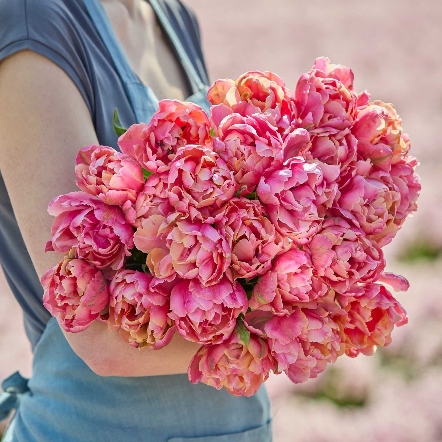 Person holding a bouquet of pink star tulip flowers with a blurred background